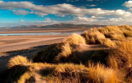 Ynyslas